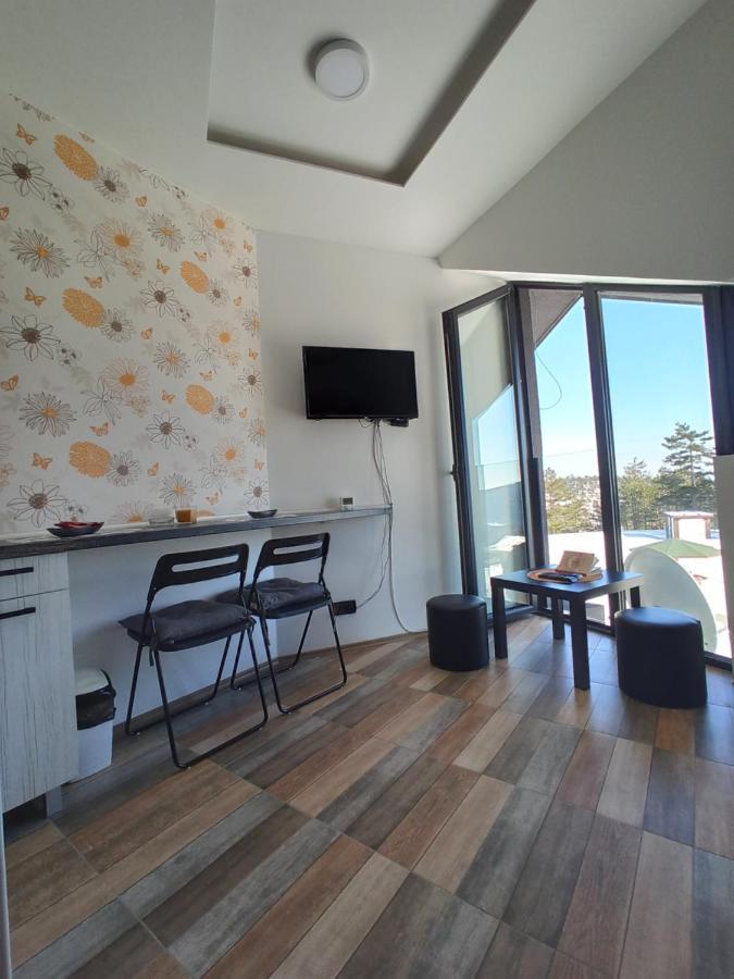 Lastin Put Apartment Divcibare